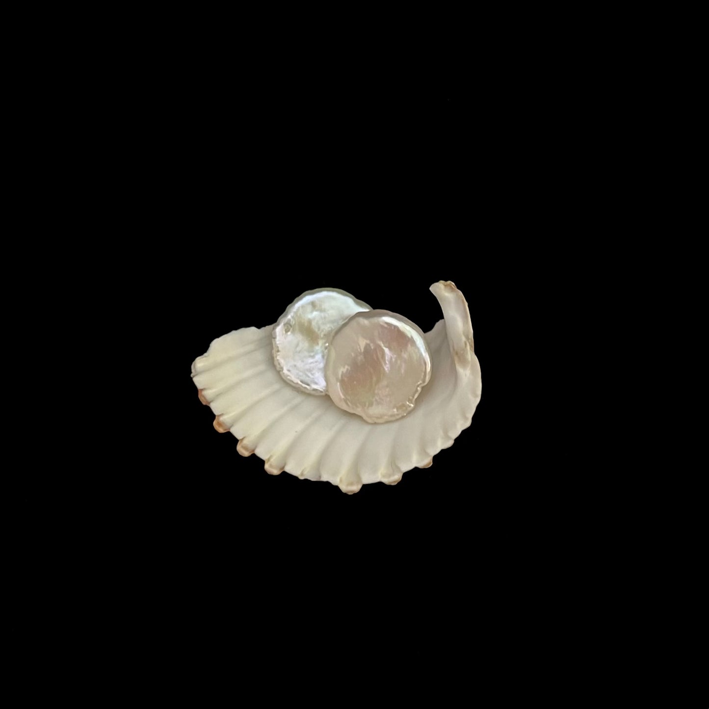 Orecchini Petali con il perno in argento925