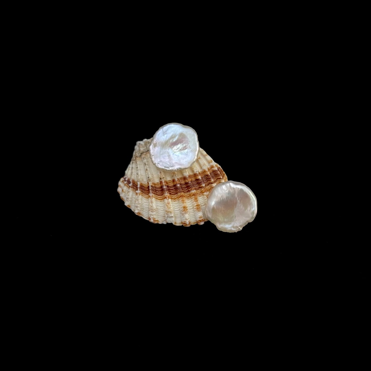 Orecchini Petali con il perno in argento925