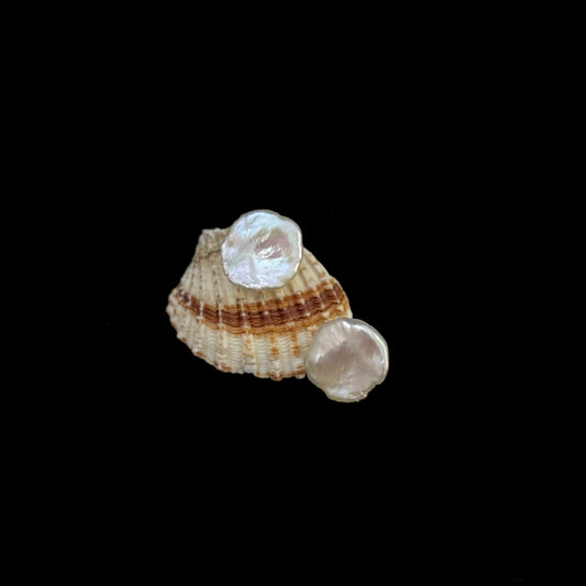 Orecchini Petali con il perno in argento925